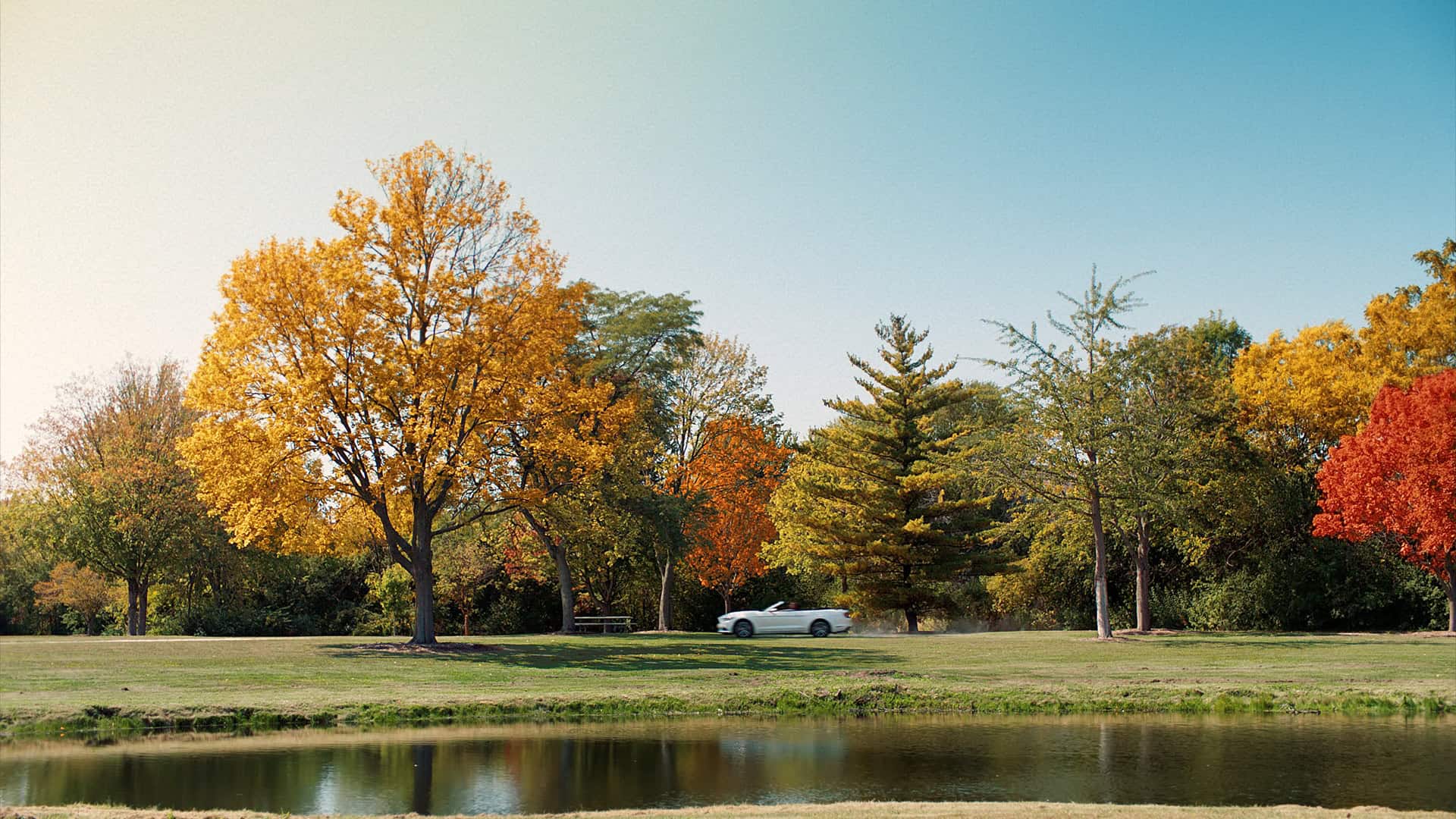 17029_Shake_12836830H_HD_30.2925