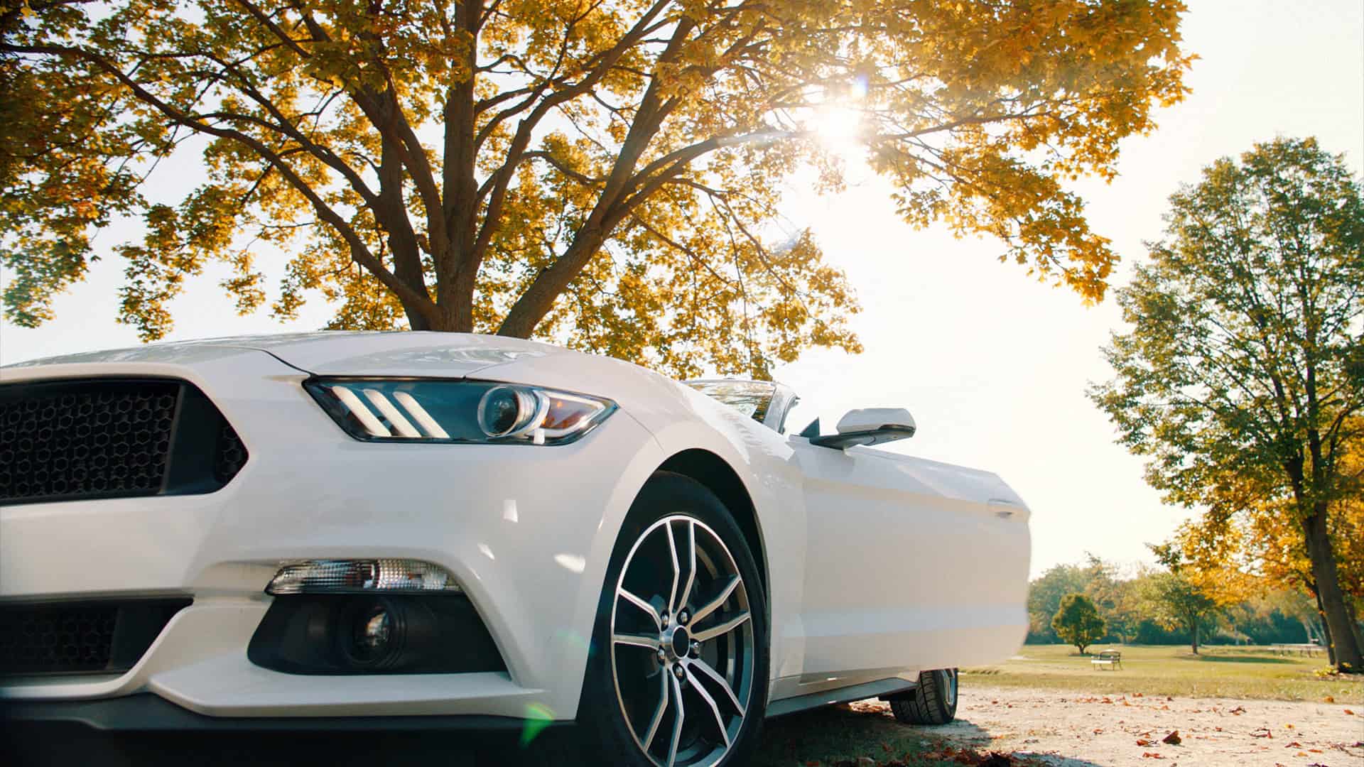 17029_Shake_12836830H_HD_30.2963