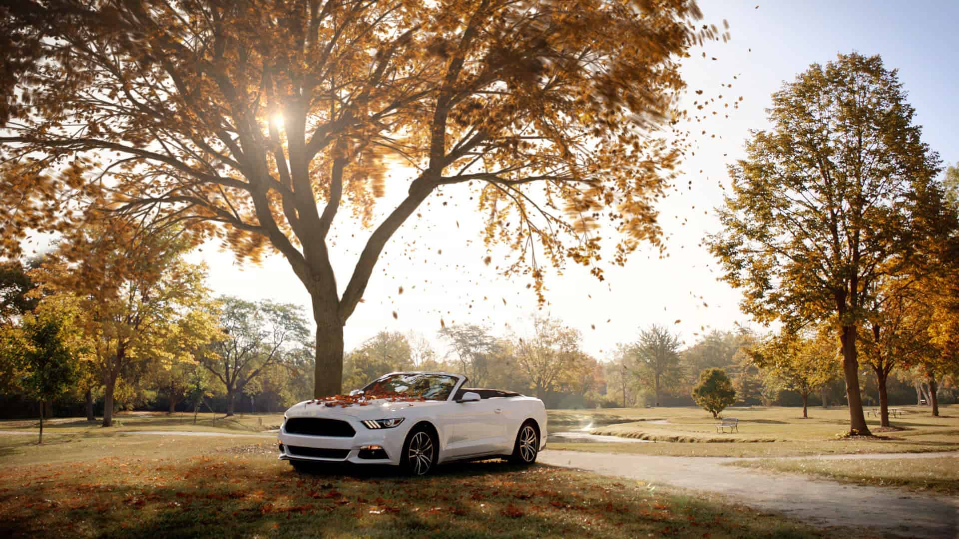 17029_Shake_12836830H_HD_30.30