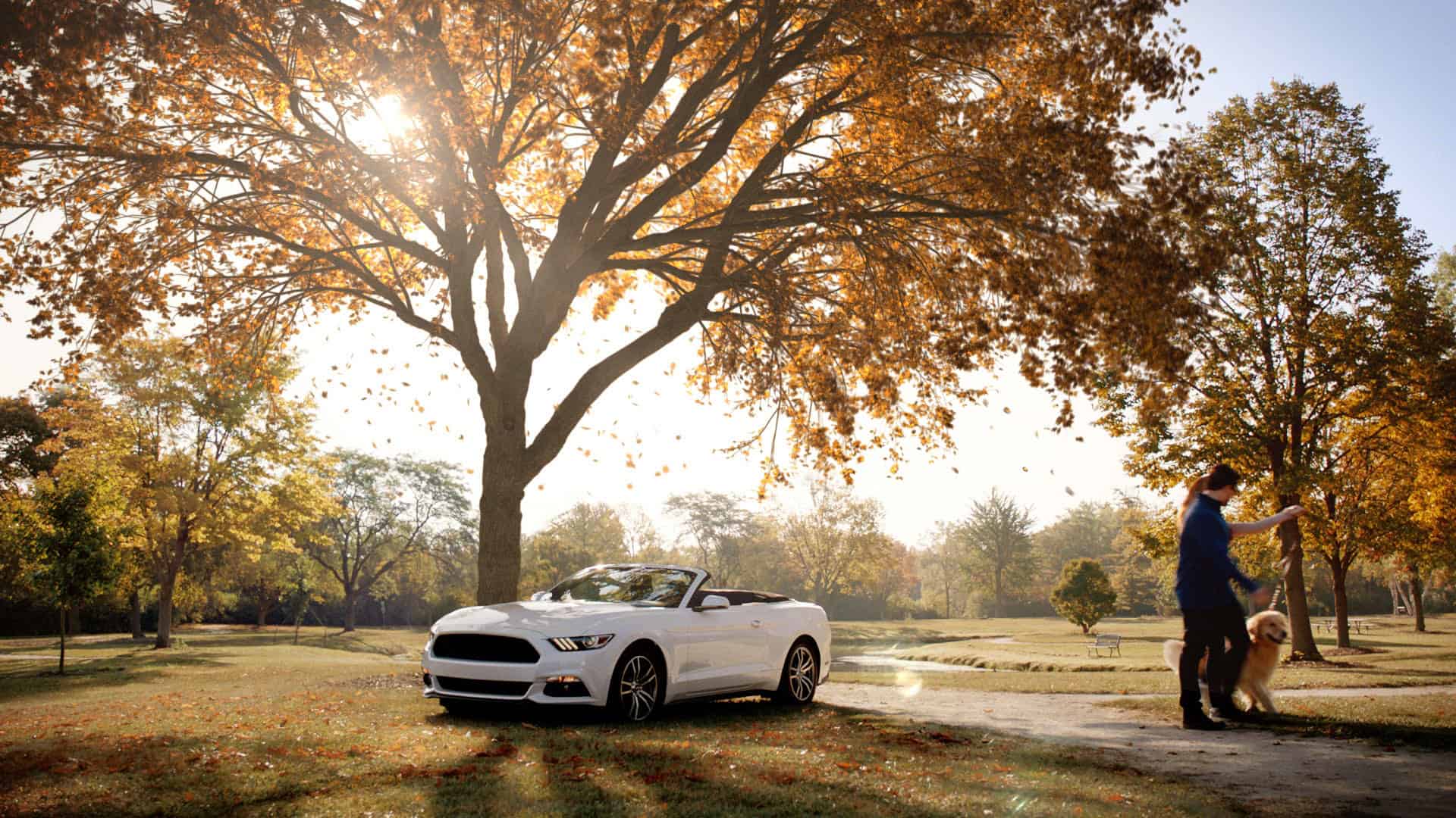 Weathertech // Shake