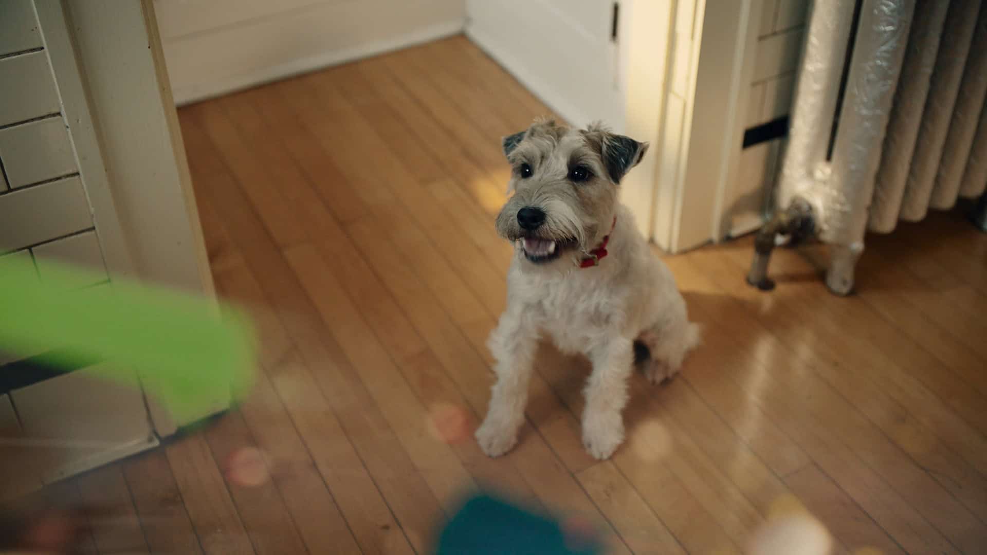 Avadel-NarcolepsyDisrupts.3141